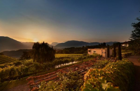 Weingut Stuck